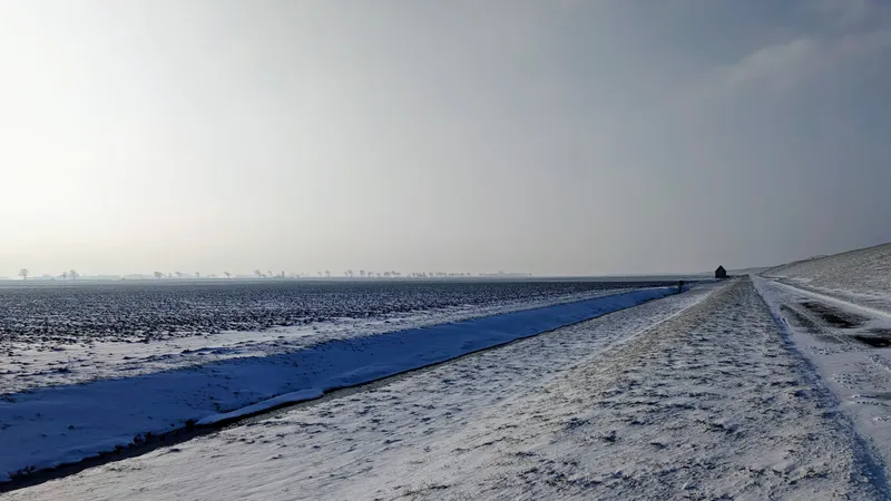 Eindeloze vlakte