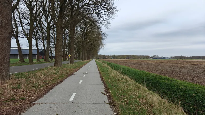 Lang kaarsrecht fietspad