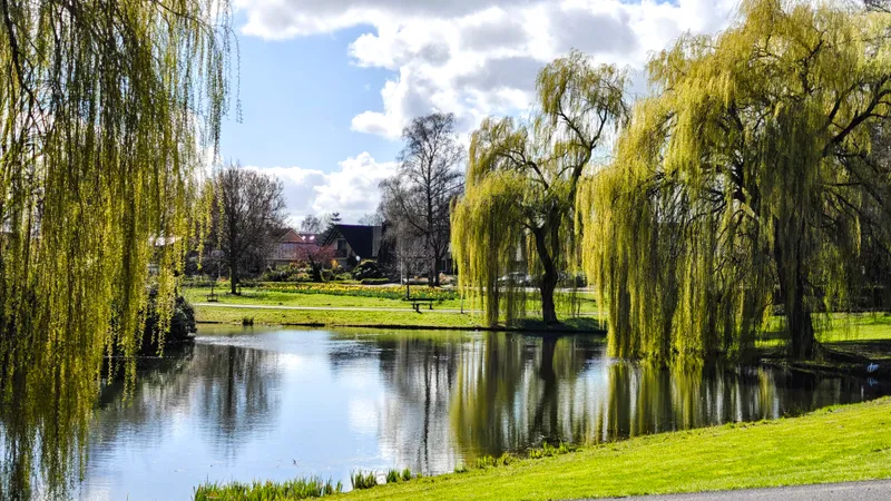 Park bij Gramsbergen