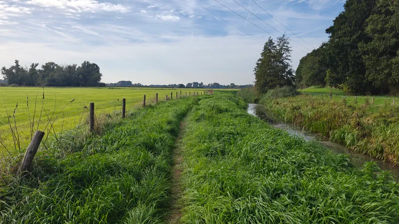 Een smal graspad langs een sloot en weilanden