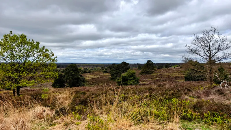 Laatste blik op de heide voor de afdaling naar Holten