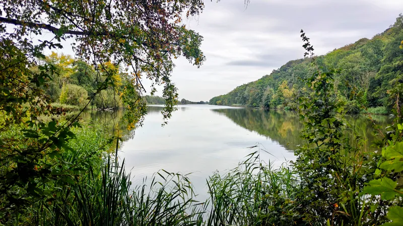 Het Wylerbergmeer onder de beboste heuvel