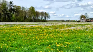 Lente!