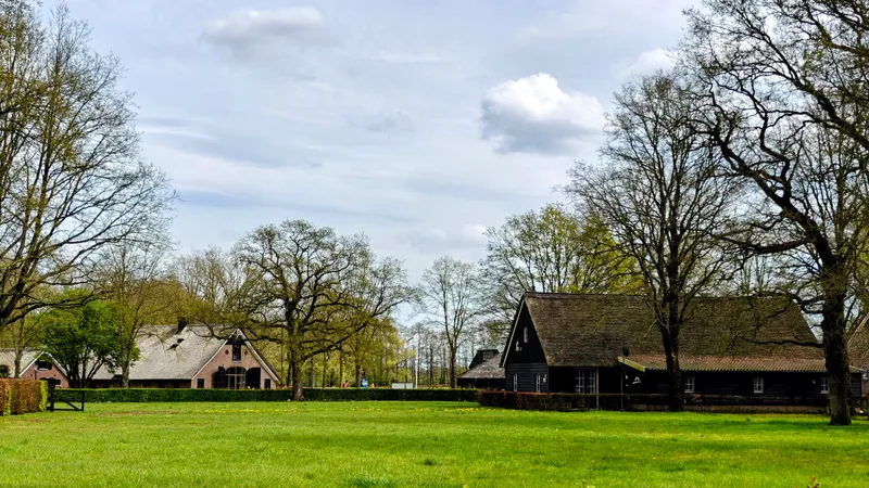 Dorpsaanzicht van Rheeze met boerderijen