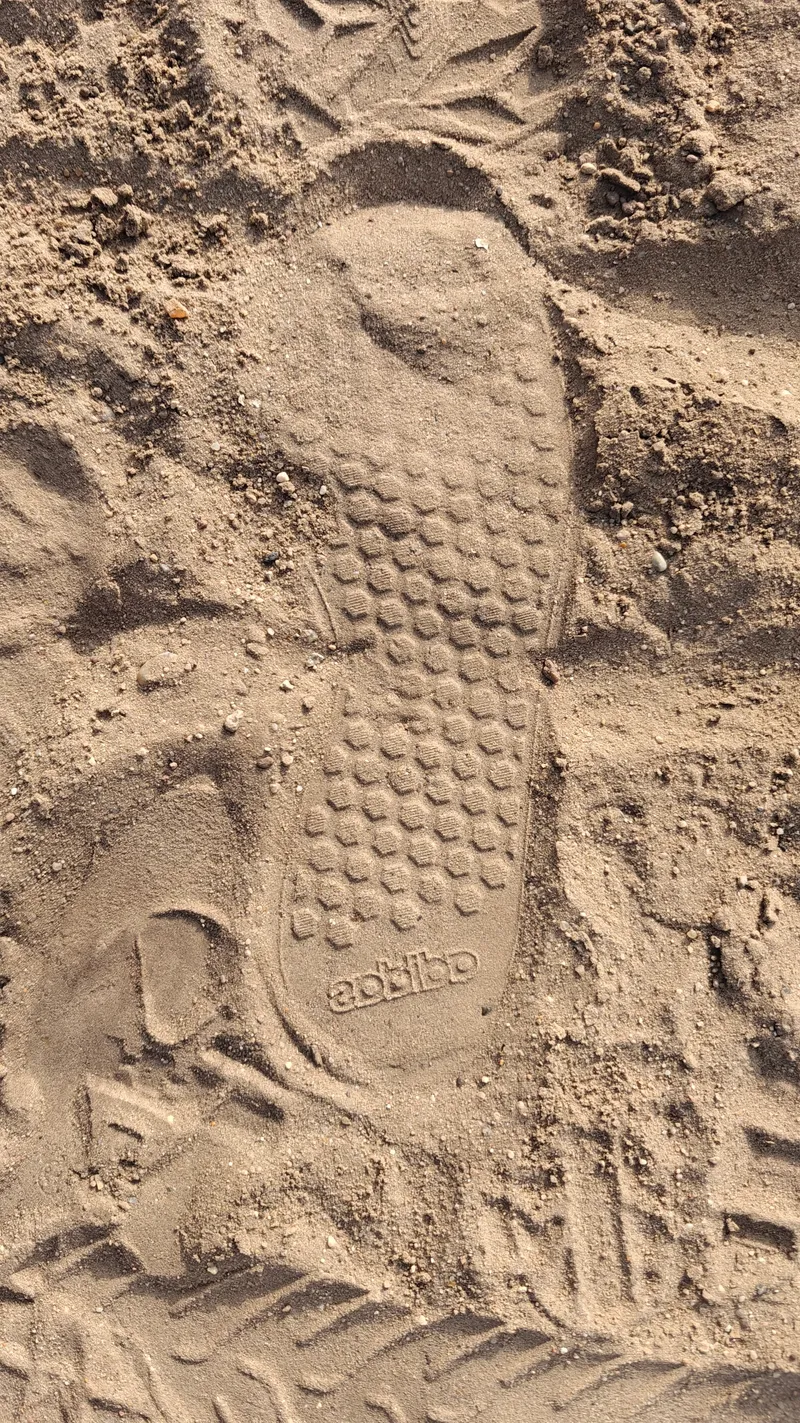 Stap 2 van de wandeling