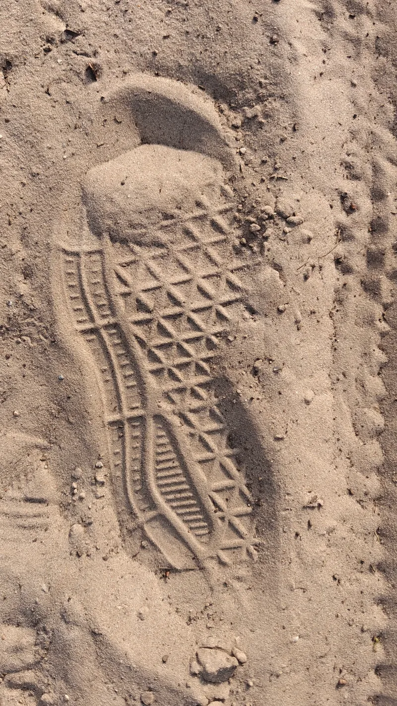 Stap 3 van de wandeling