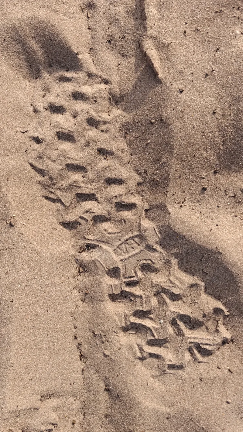 Stap 4 van de wandeling