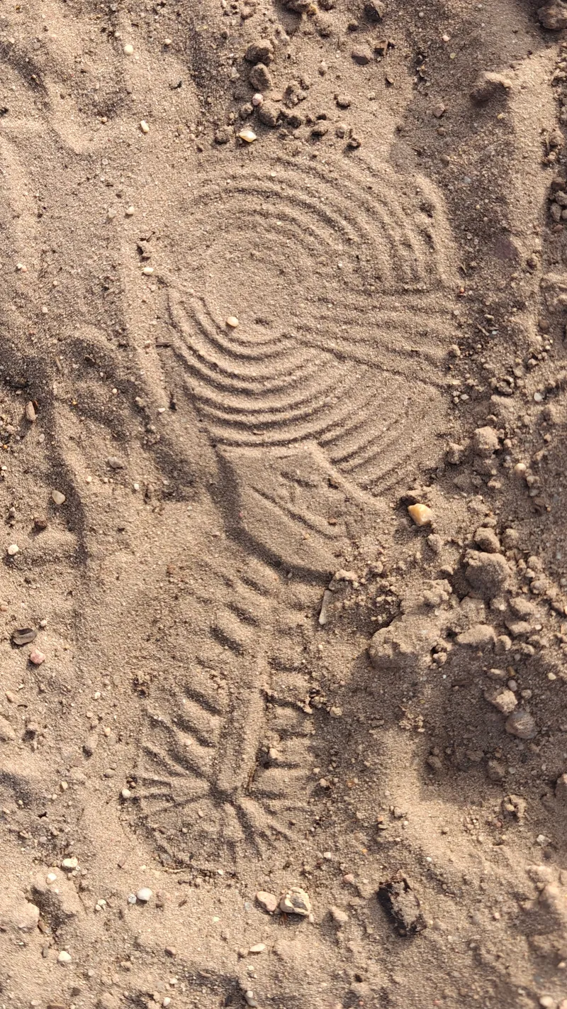 Stap 5 van de wandeling