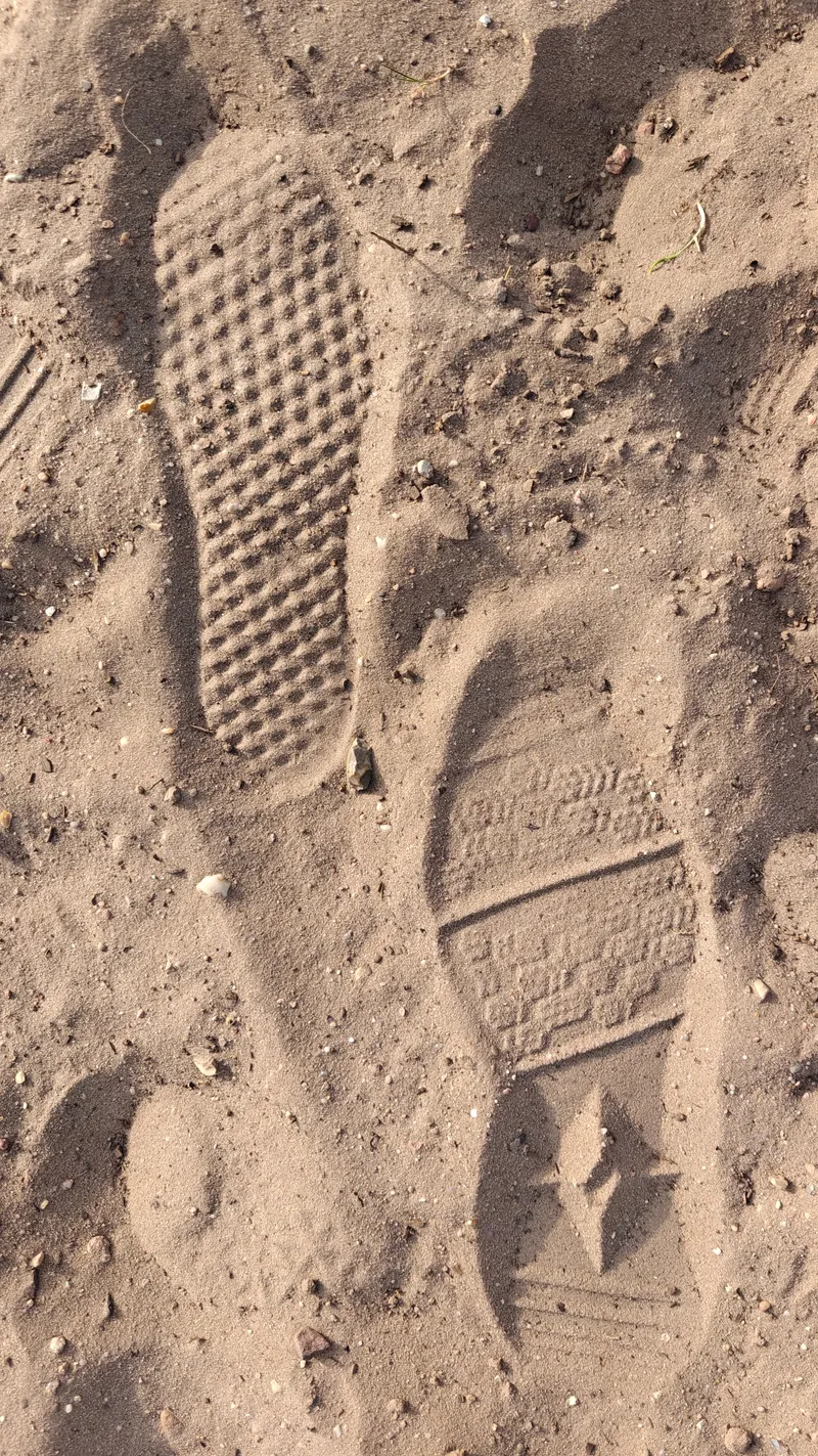 Stap 6 van de wandeling