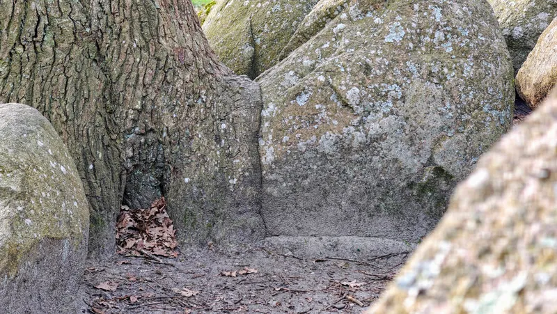 Steen en hout