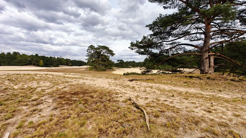 Stuifzandpad na het oversteken van de weg