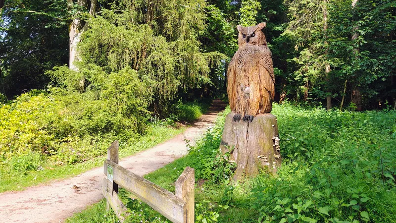 Uil op Landgoed Verwolde