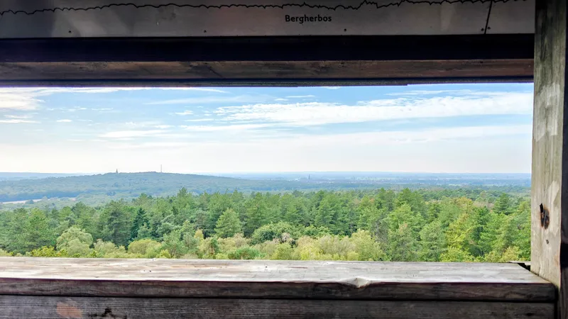 Uitzicht vanaf de uitkijktoren over het Bergherbos richting de Eltenberg