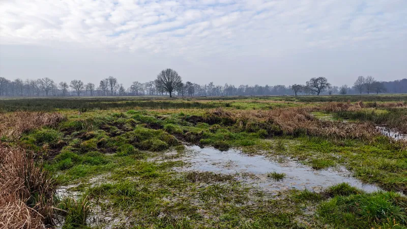 Uitzicht over het Drents landschap
