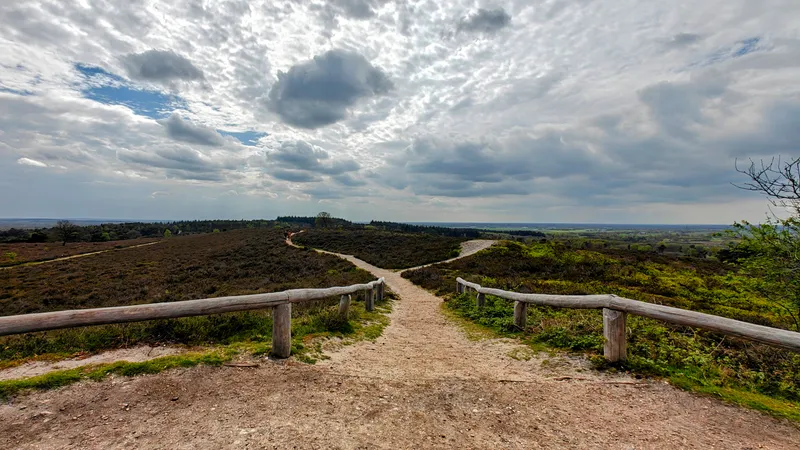 Tweede uitzicht over heide en zand vanaf de Archemerberg