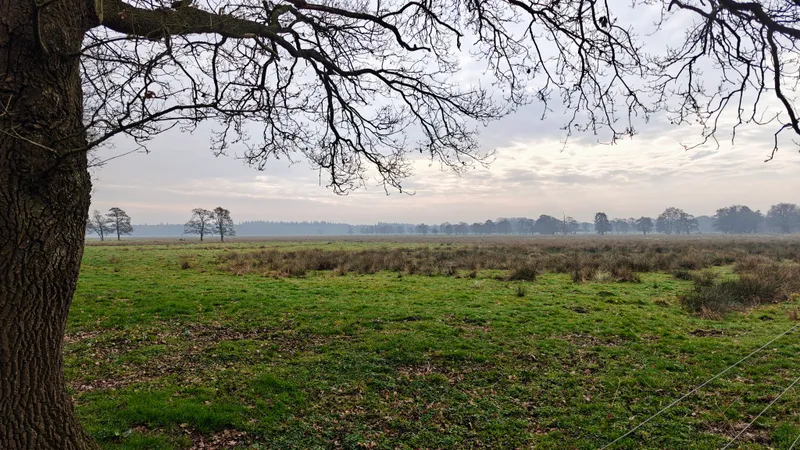 Uitzicht over het Drents landschap