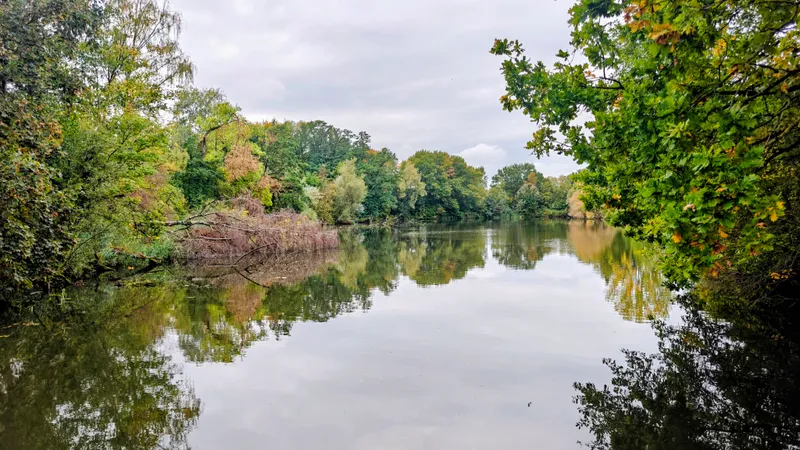 Stil water met de weerspiegeling van de bomen