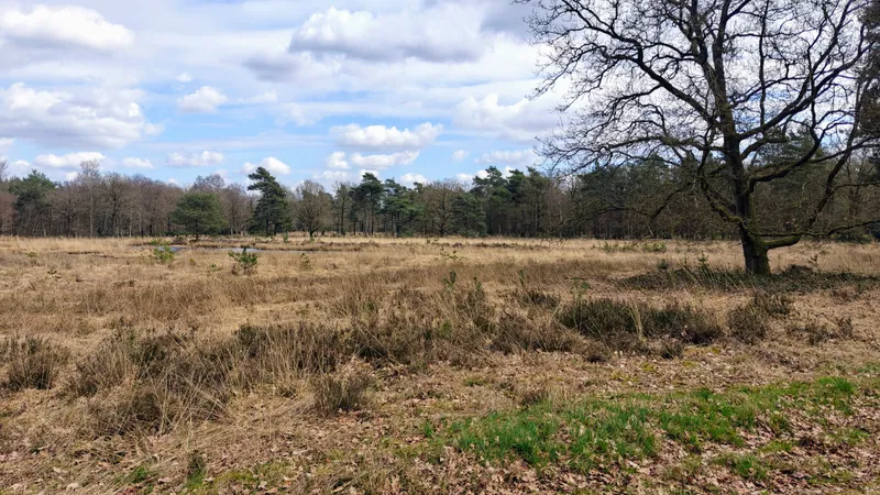 Maartse wolkenlucht onderweg